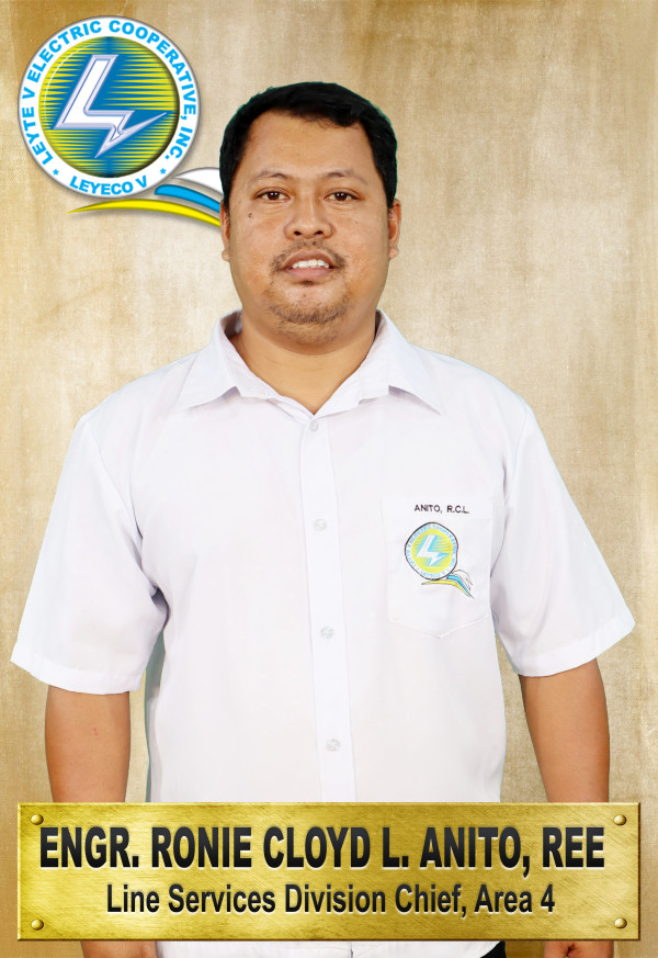 Engr. Ronie Cloyd L. Anito, REE