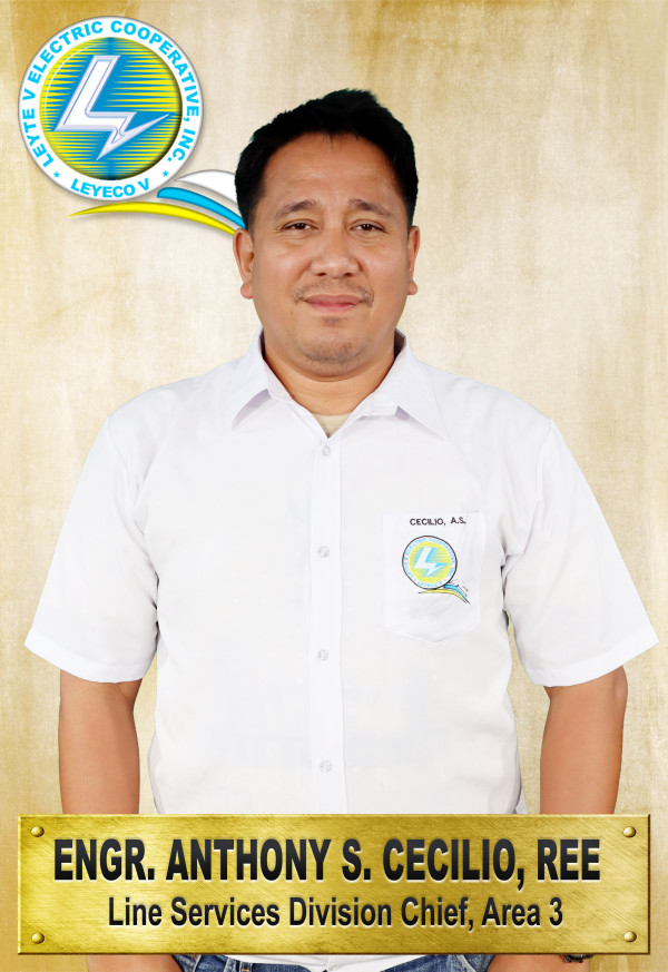 Engr. Anthony S. Cecilio, REE
