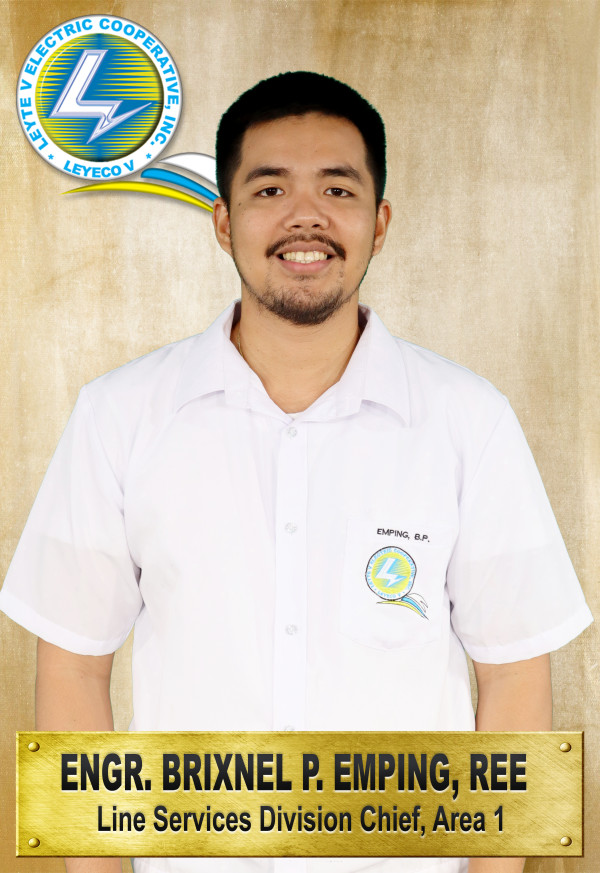 Engr. Brixnel P. Emping, REE
