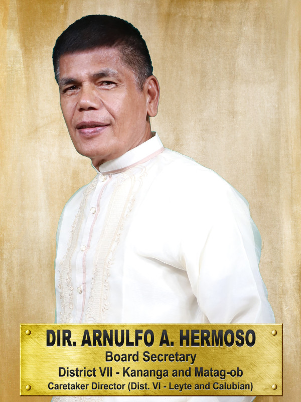 Dir. ARNULFO A. HERMOSO